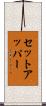 セットアッパー Scroll
