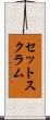 セットスクラム Scroll