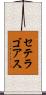 セテラゴアス Scroll