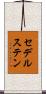 セデルステン Scroll