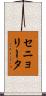 セニョリータ Scroll