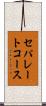 セパレートコース Scroll