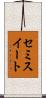 セミスイート Scroll