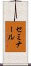 セミナール Scroll
