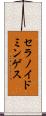 セラノイドミンゲス Scroll