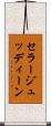セラージュッディーン Scroll