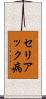 セリアック病 Scroll