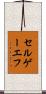セルゲーエフ Scroll