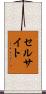 セルサイト Scroll
