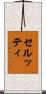 セルッティ Scroll
