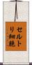 セルトリ細胞 Scroll