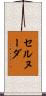 セルヌーダ Scroll
