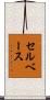 セルベース Scroll