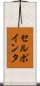 セル・ポインタ Scroll