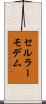 セルラー・モデム Scroll