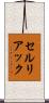 セルリアック Scroll