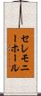 セレモニー・ホール Scroll