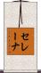 セレーナ Scroll