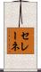Selene Scroll
