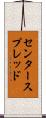 センター・スプレッド Scroll