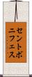 セントボニフェス Scroll