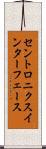 セントロニクスインターフェース Scroll