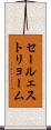セールェストリョーム Scroll