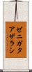 ゼニガタアザラシ Scroll