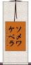 ソメワケベラ Scroll