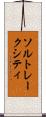 ソルトレークシティ Scroll