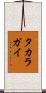 タカラガイ Scroll