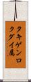 タキゲンロクダイ属 Scroll