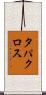 タパクロス Scroll