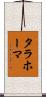 タラホーマ Scroll