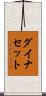 ダイナセット Scroll