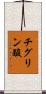 チグリン酸 Scroll