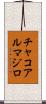 チャコアルマジロ Scroll