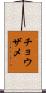 チョウザメ Scroll