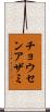 チョウセンアザミ Scroll