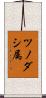 ツノダシ属 Scroll
