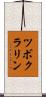 ツボクラリン Scroll
