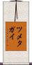 ツメタガイ Scroll