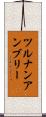 ツルナンアンブリー Scroll