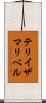 Teresa Maribel Scroll