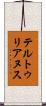 テルトゥリアヌス Scroll