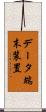 データ端末装置 Scroll