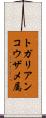 トガリアンコウザメ属 Scroll