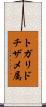 トガリドチザメ属 Scroll