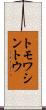 トモワシントウ Scroll