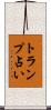 トランプ占い Scroll